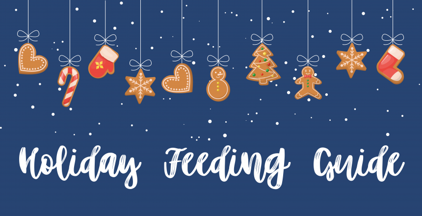 Holiday Feeding Blog Banner